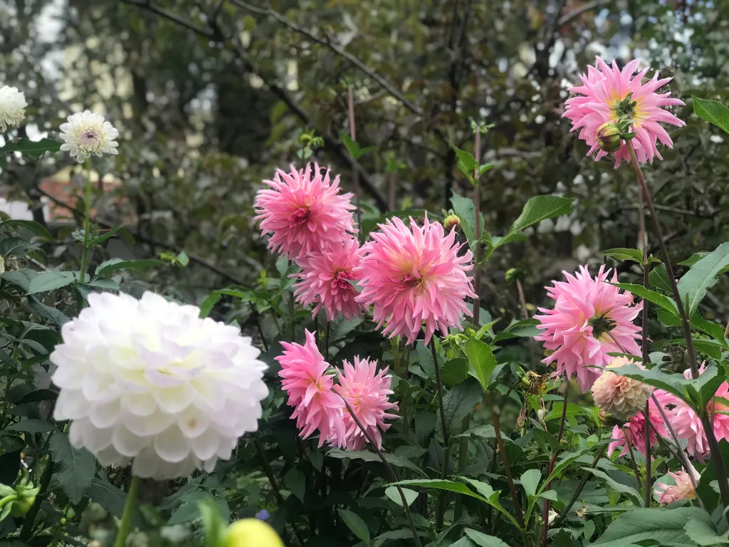 Коттедж Часть Дома с двориком — Кисловодск