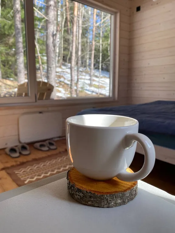 Глемп с видом на лес