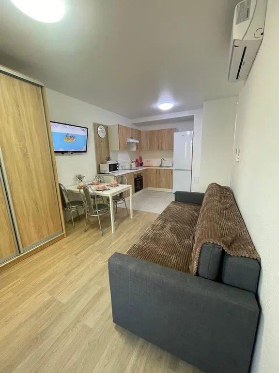 Уютная однокомнатная квартира