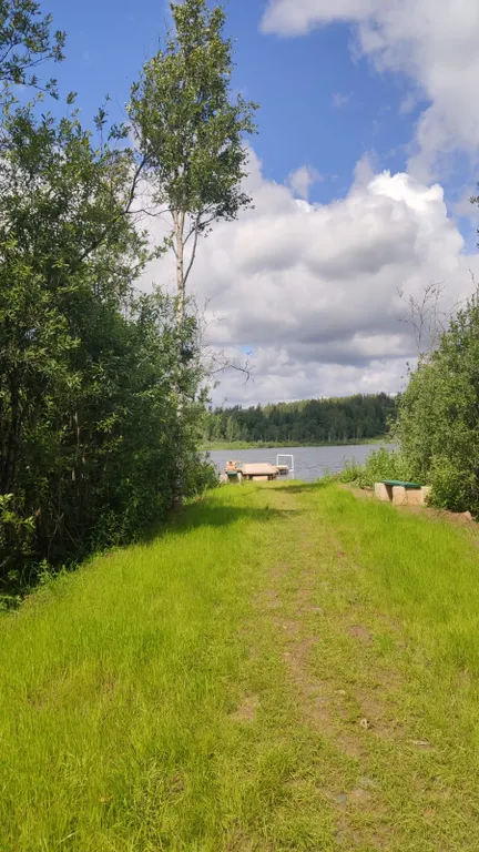 Домик в деревне