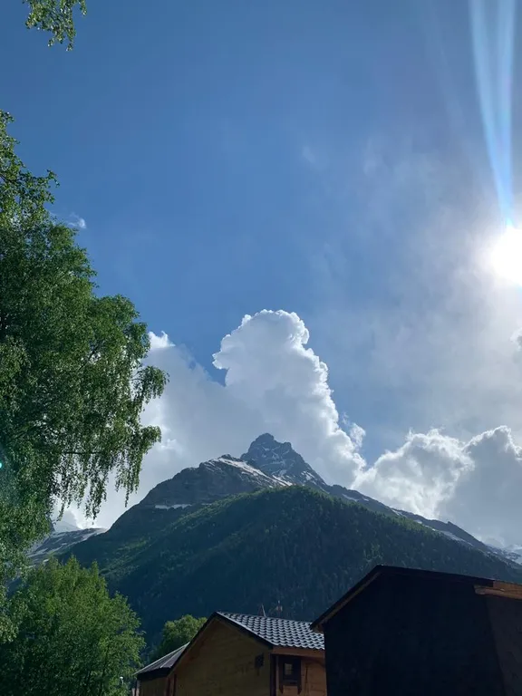 Эко домик 09