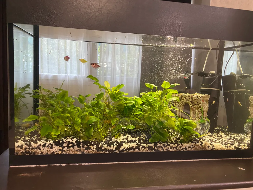 Квартира Уютная 2-комнатная квартира — Лазаревское