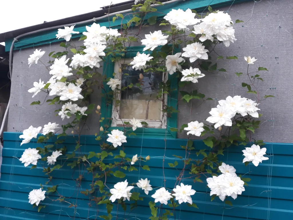 Уютный дом под ключ