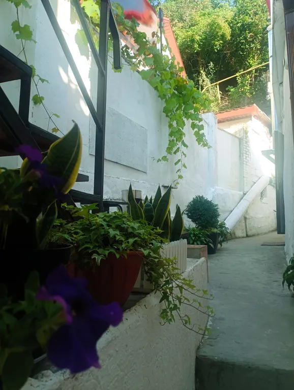 Студия в частном доме в Центральном районе