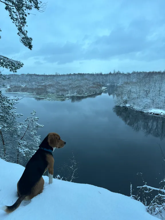 Дом-баня на высоком берегу Березины