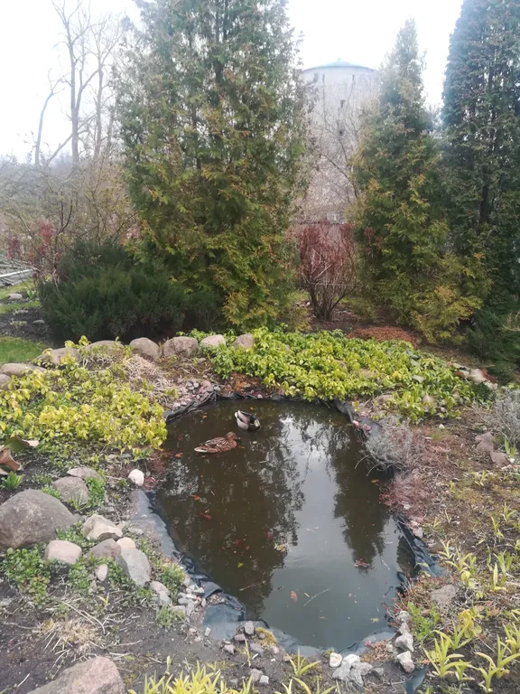 Просторные удобные апартаменты в тихом живописном месте у Гремячей Башни