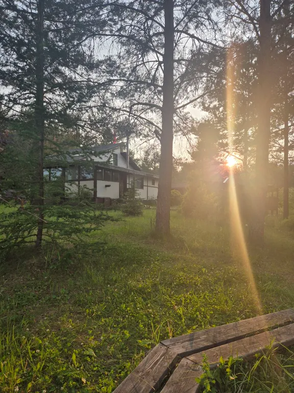 Эко - дом в лесу в гостях у Миродары