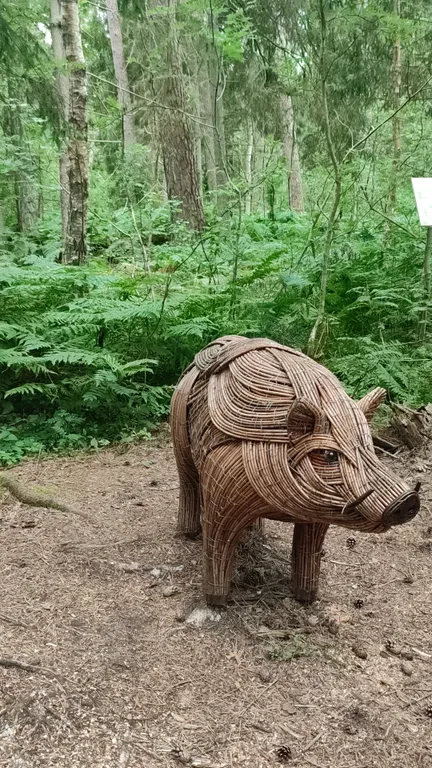 Атмосферные апартаменты у Балтийского моря