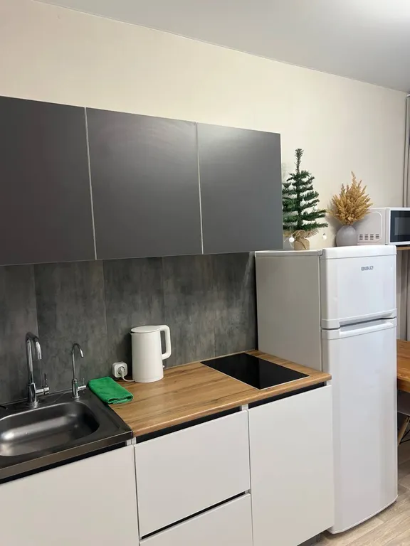 Уютная однокомнатная квартира