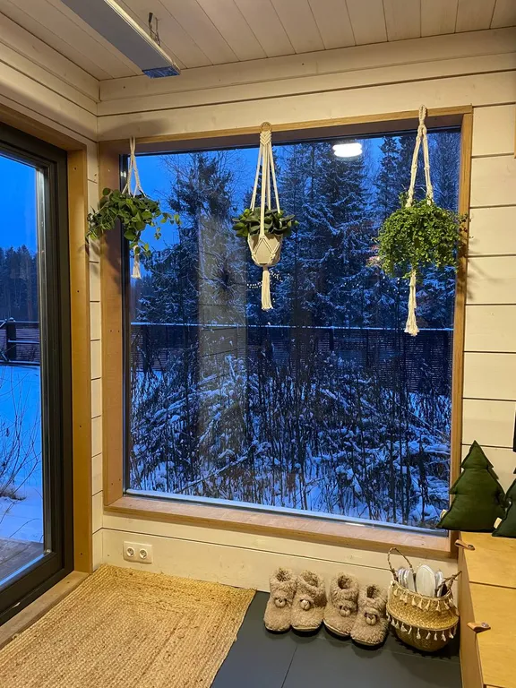 Уютный дом в тишине хвойного леса