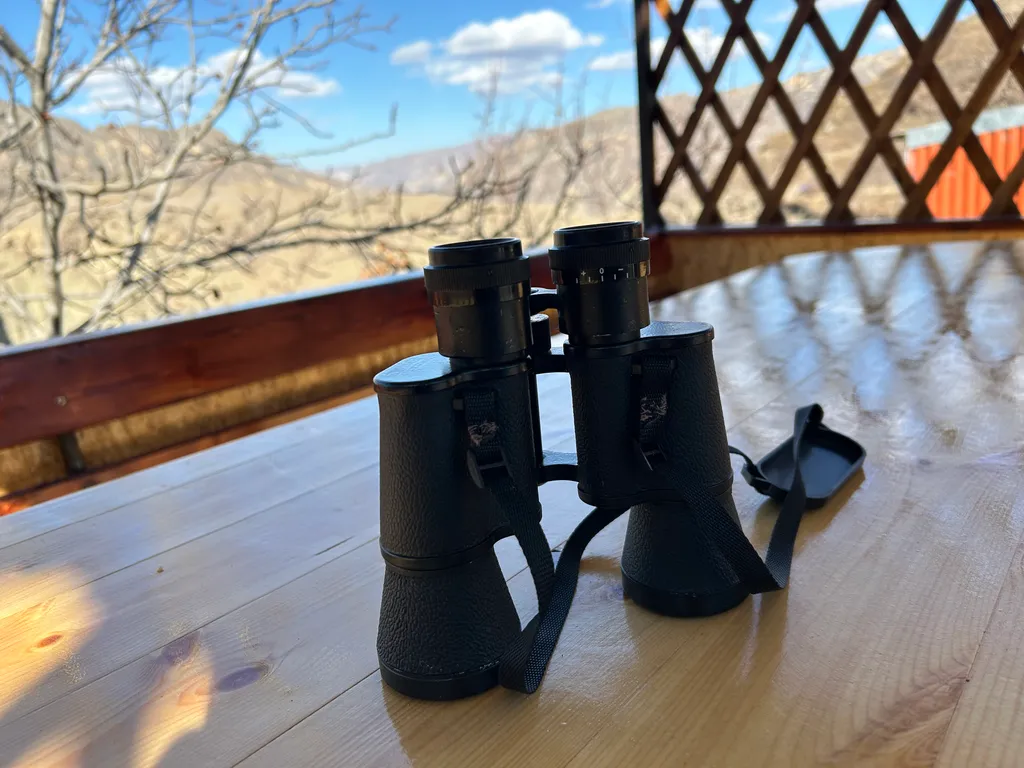 Большой уютный дом