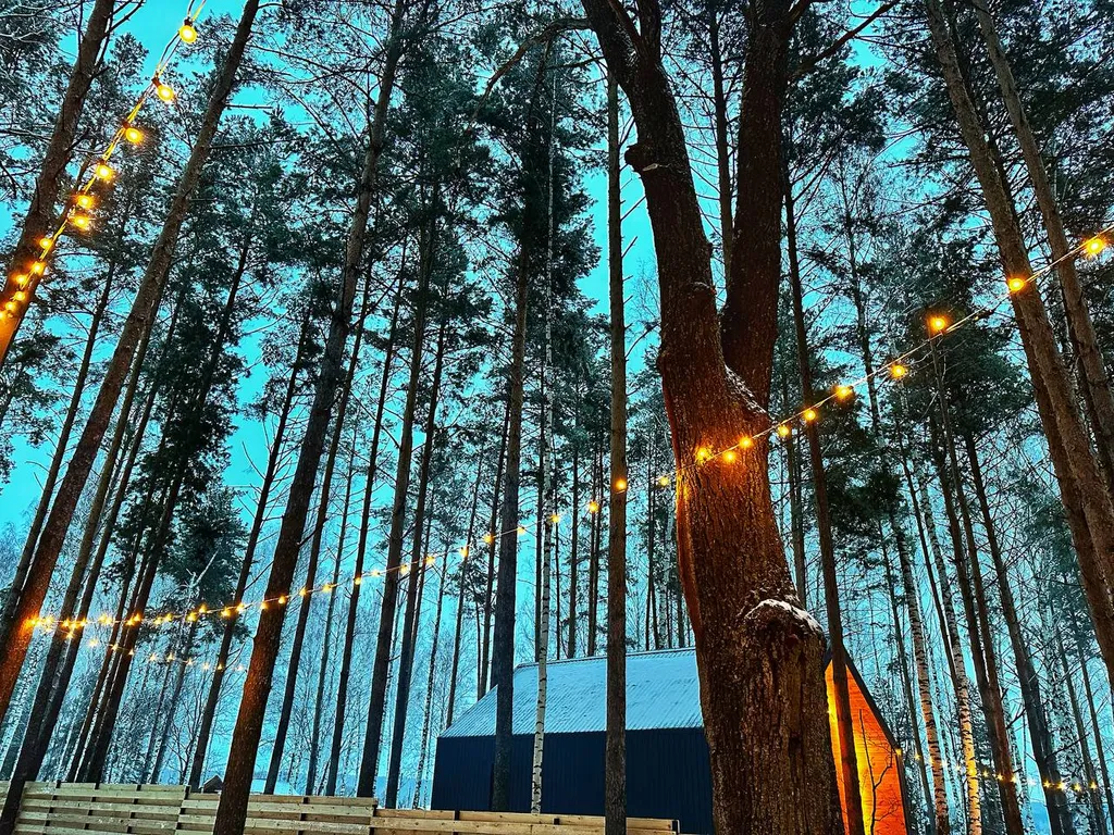 Барн-хаус 1 с чаном и сауной в сосновом лесу