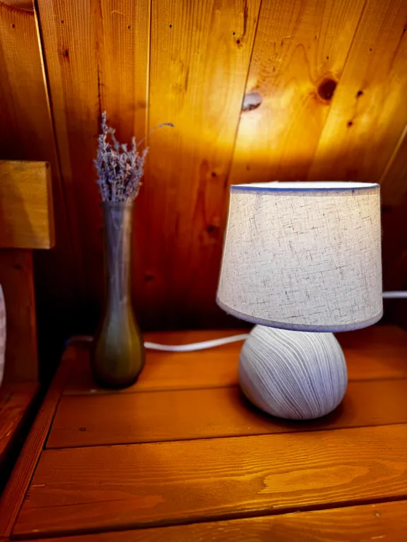 Дом с баней, караоке, PlayStation и Алисой на берегу моря