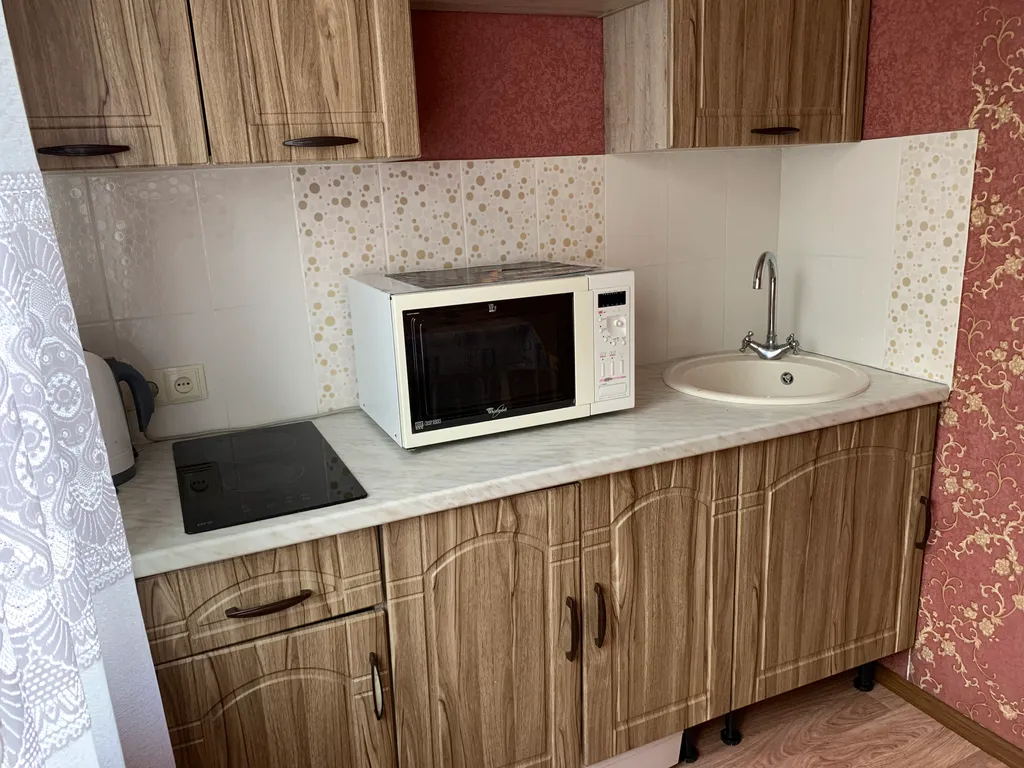 Квартира 1-комнатная квартира на 1 этаже у Органного зала — Красноярск