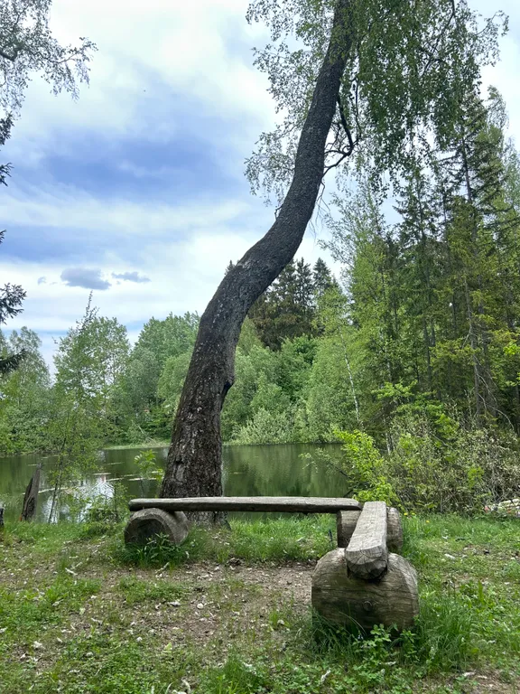 Шале в глэмпинге Лесариум с купелью и мангалом