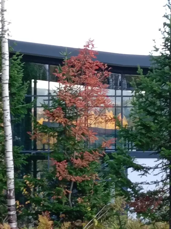 Гостевой дом премиум класса