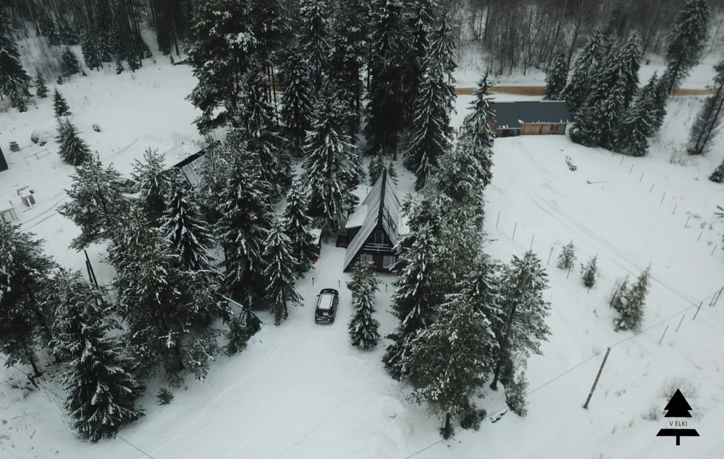 Коттедж Гостевой дом В ЁLКИ — Чална