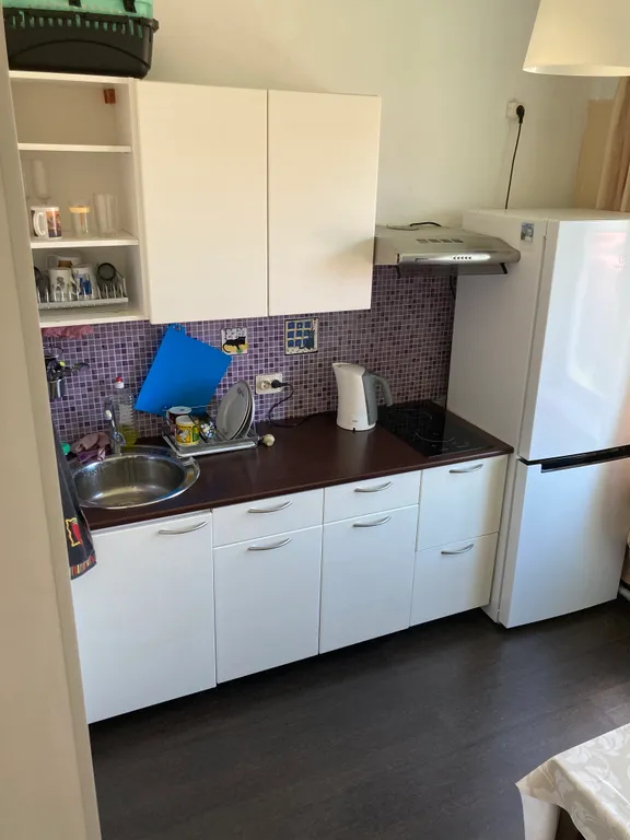 Квартира с видом на Рускеальский Экспресс и ранним заселением