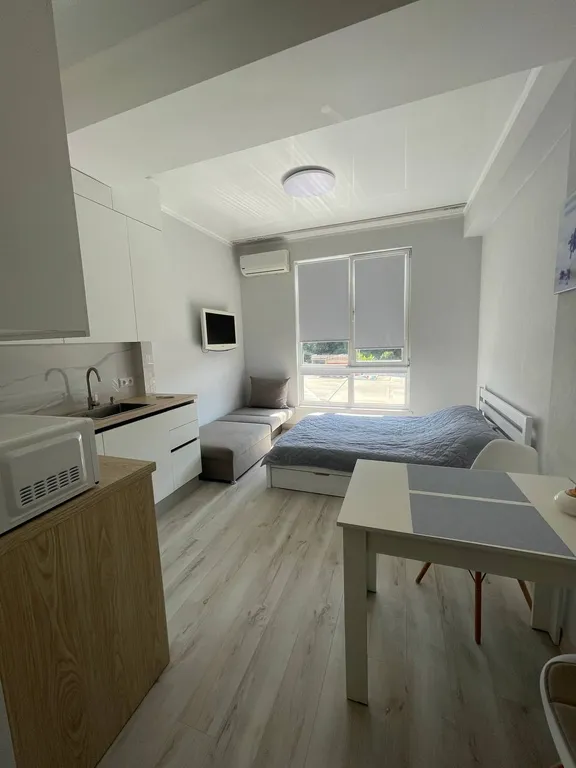 Квартира Уютная студия недалеко от центра Сочи — аренда посуточно в Дагомыс