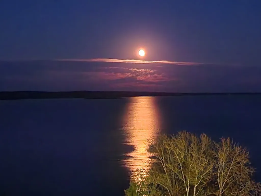 Апартамент с видом на Онежское озеро