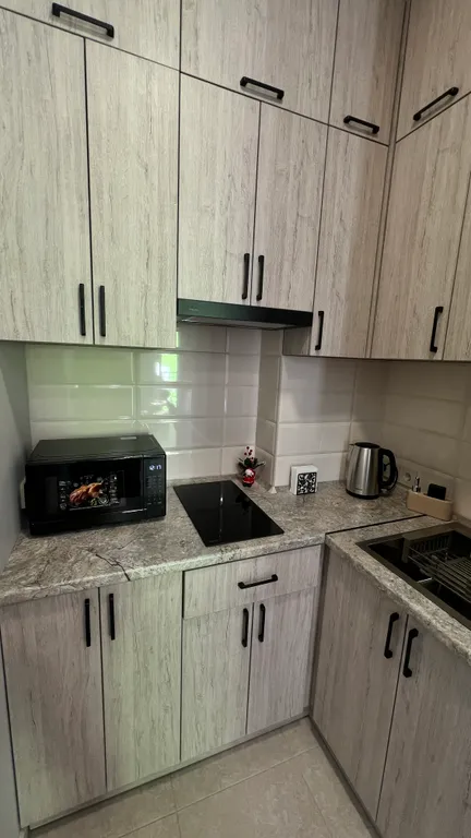 Квартира 1-комнатная Квартира — Сириус