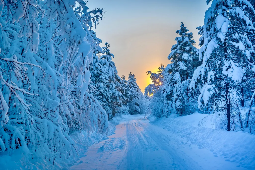 Большой загородный дом
