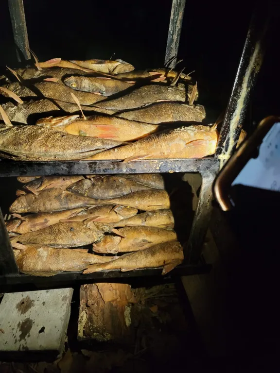 Загородный дом в лесу на Финском заливе