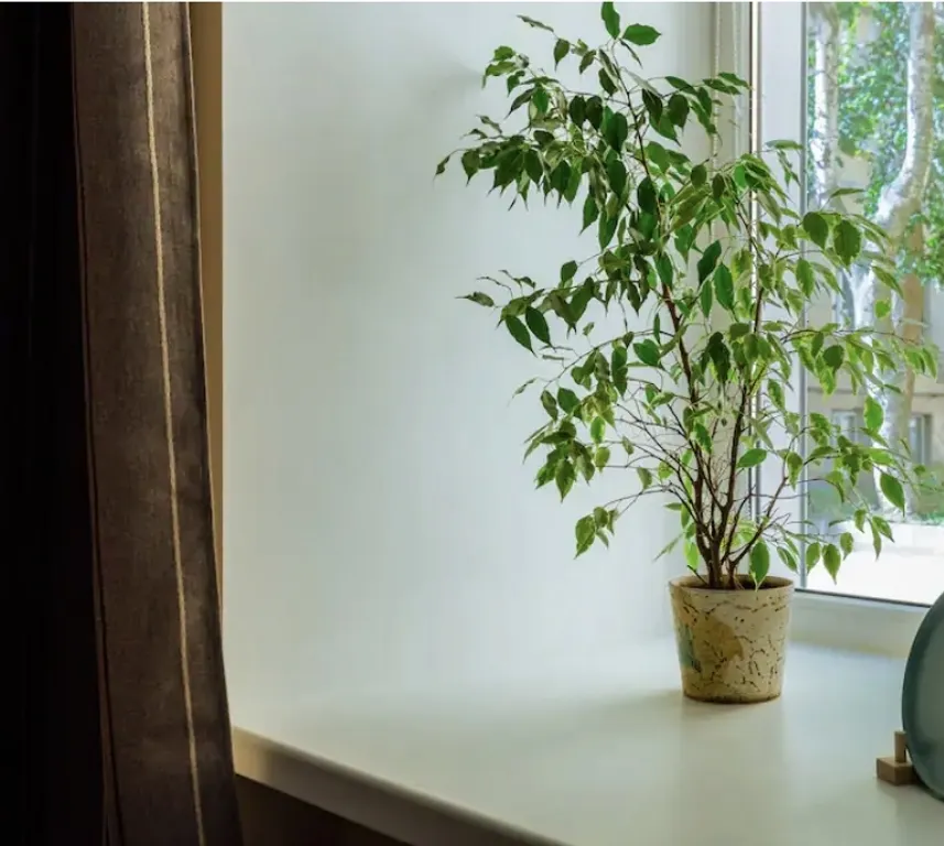 Квартира Квартира Студия около Новой Голландии — Санкт-Петербург