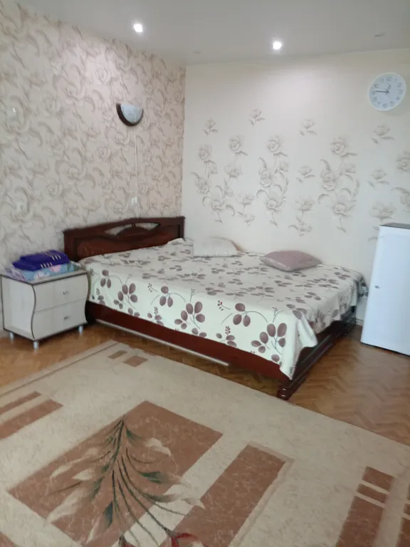 Однокомнатная квартира в центре города