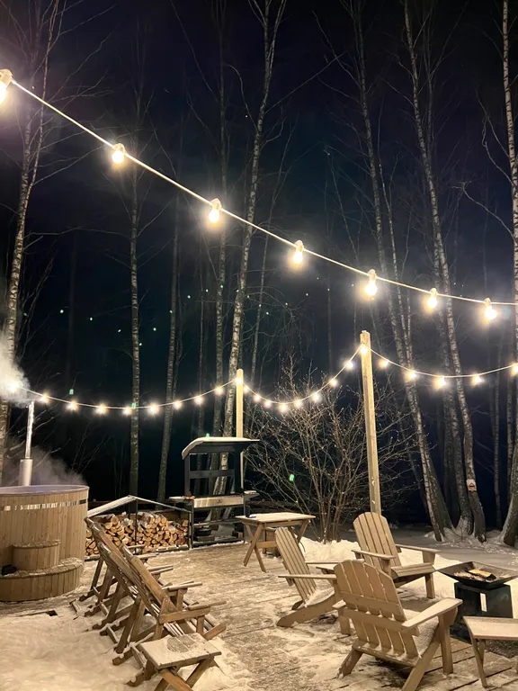 Гостевой дом среди березовой рощи с видом на поле и лес