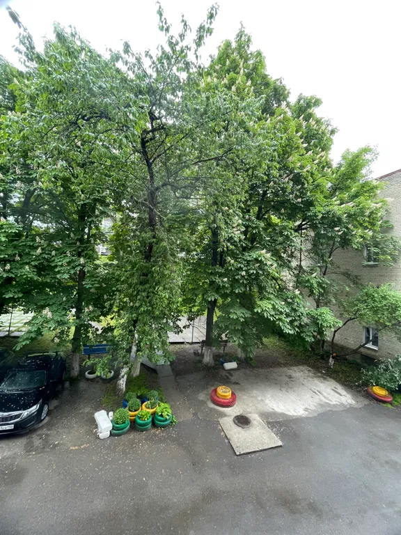 Уютная студия в хорошем районе