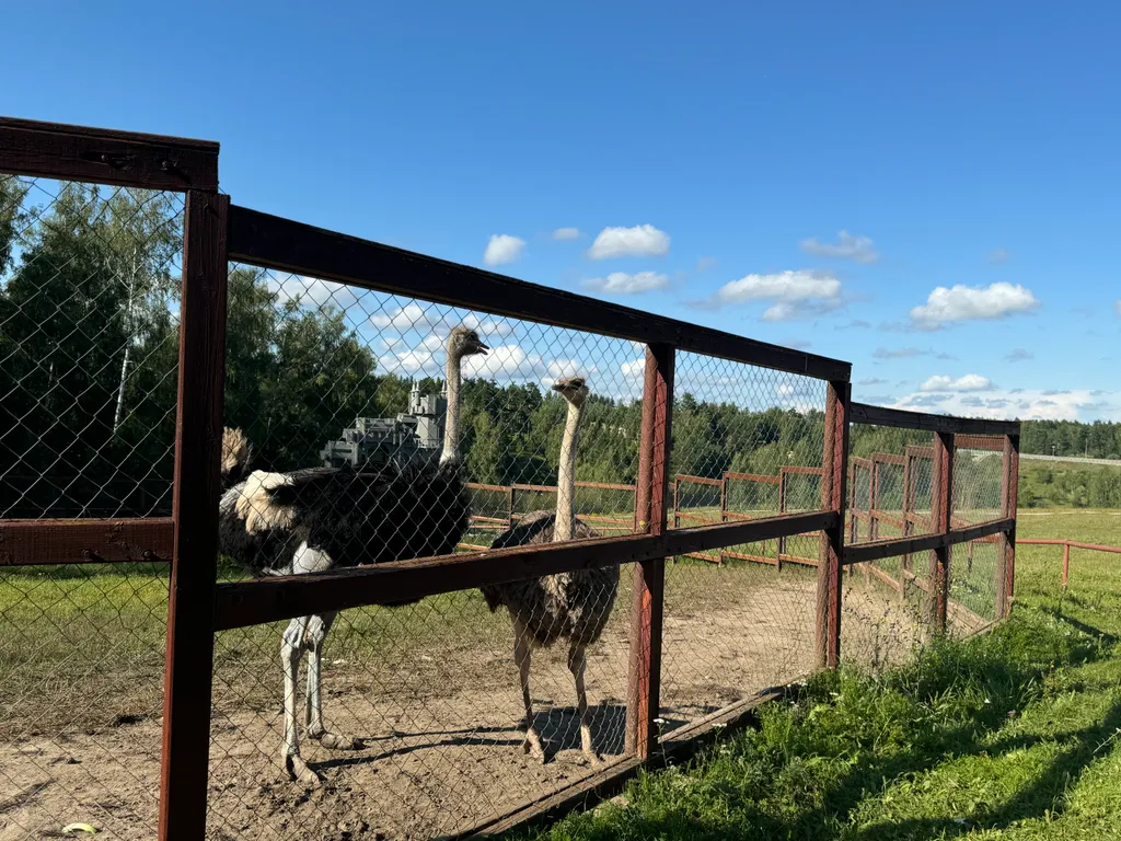 Дом с сауной  в Капитан Клаб