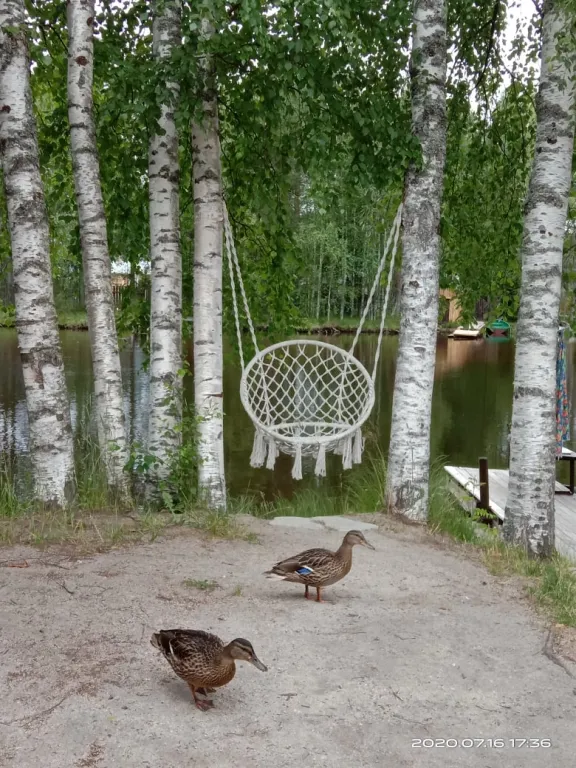 Дом на берегу реки в живописном месте, рядом озеро Сямозеро