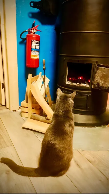 Прекрасный дом для отдыха в Комарово