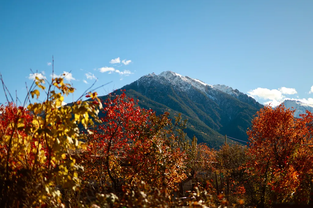 Уютная квартира в горах