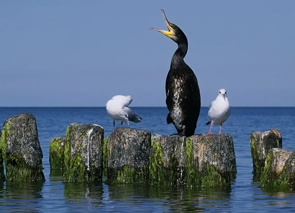 Деревенский дом у моря
