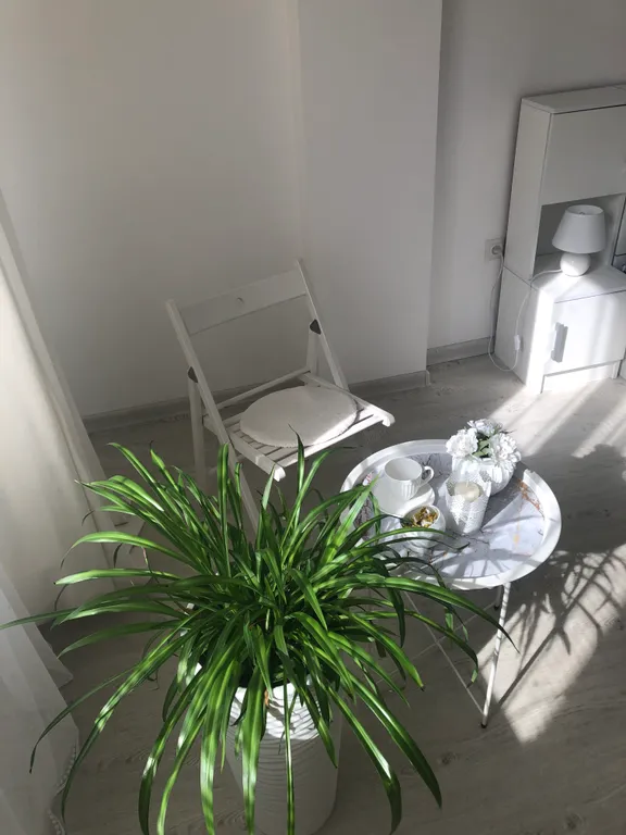 Апартаменты у моря, на первой береговой линии