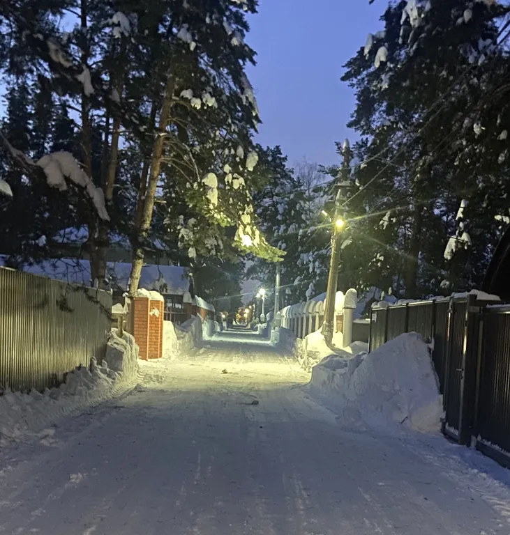 Дом в черте города в сосновом лесу