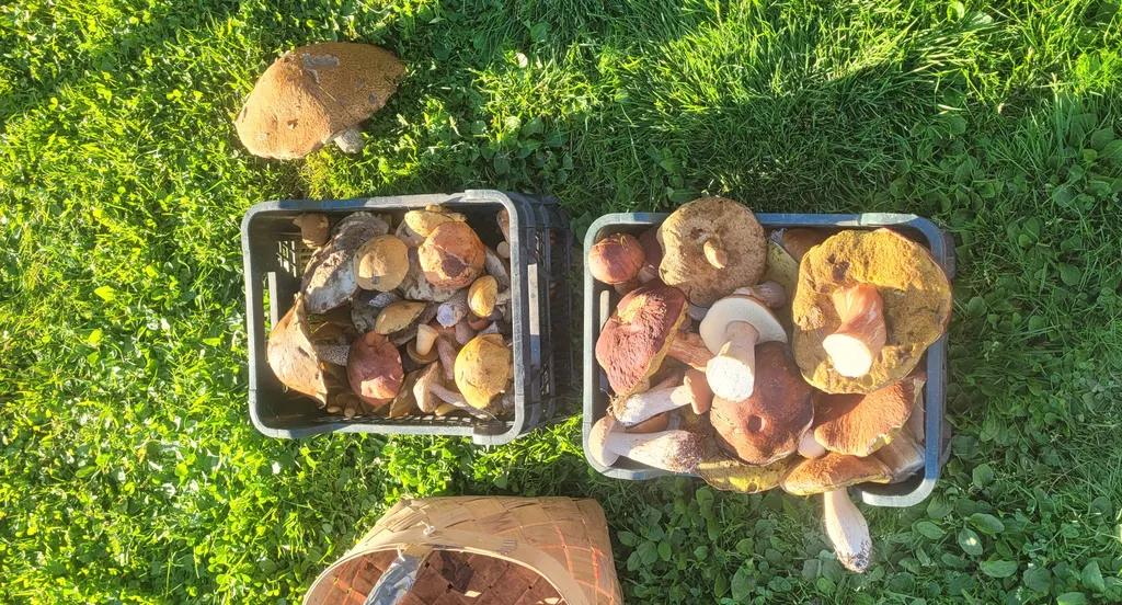 Уютный домик с сауной у реки