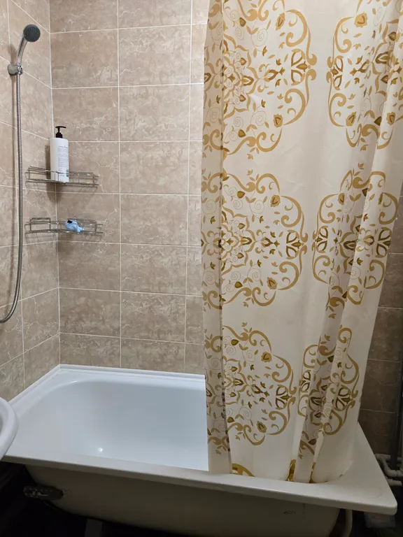 Уютная, чистая квартира, в самом центре города. Есть все необходимое.