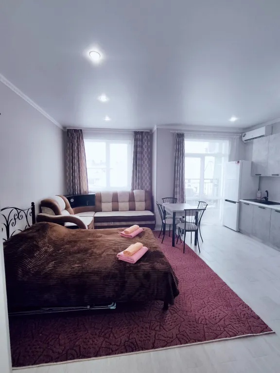 Квартира 1-комнатная Квартира — Сириус