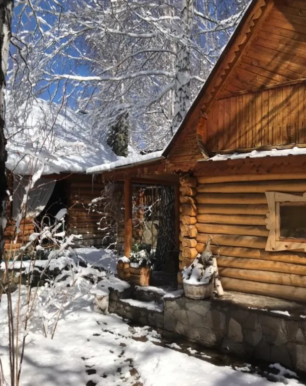 Коттедж 2к Дом в лесу — аренда посуточно в Зелёная Поляна