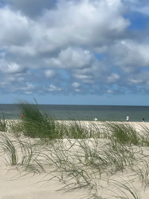 Апартаменты на море Marinella