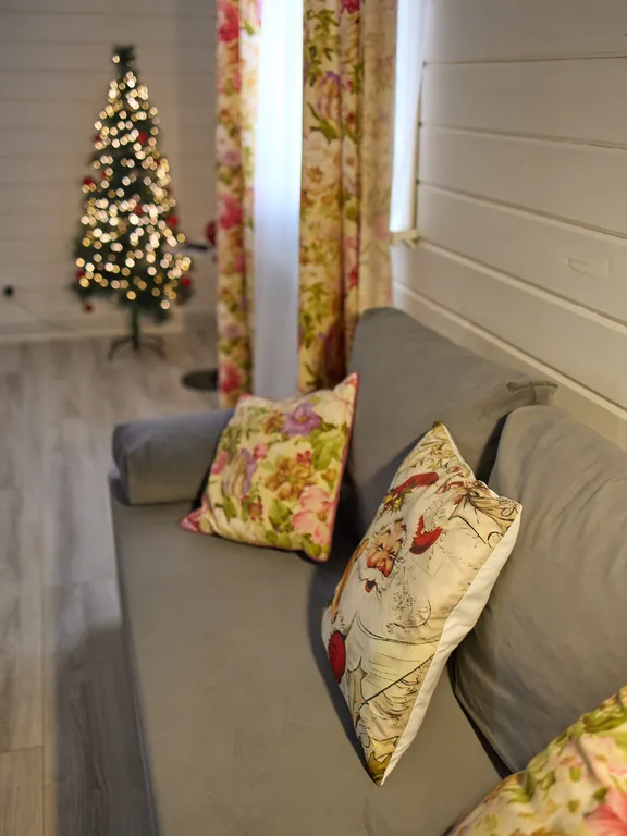 3-комнатный таунхаус у источника