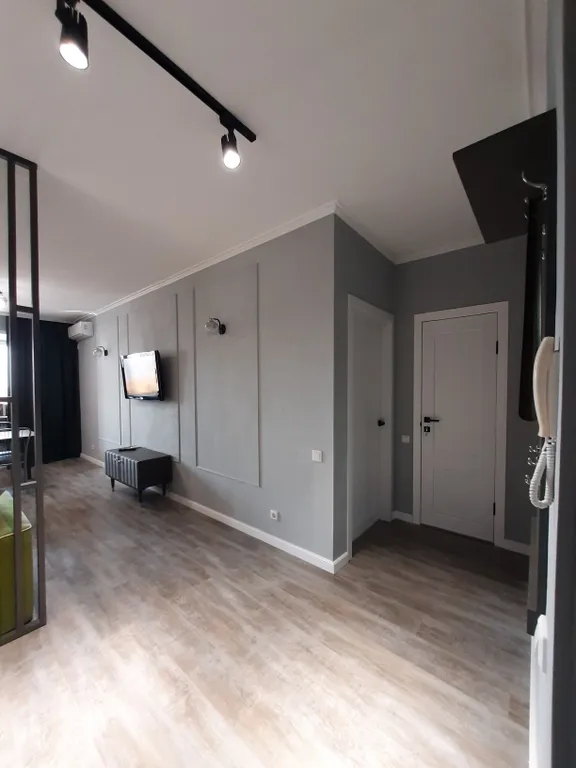 Рыжий Кот Дружный (просторная 2-ка с изолированной спальней)