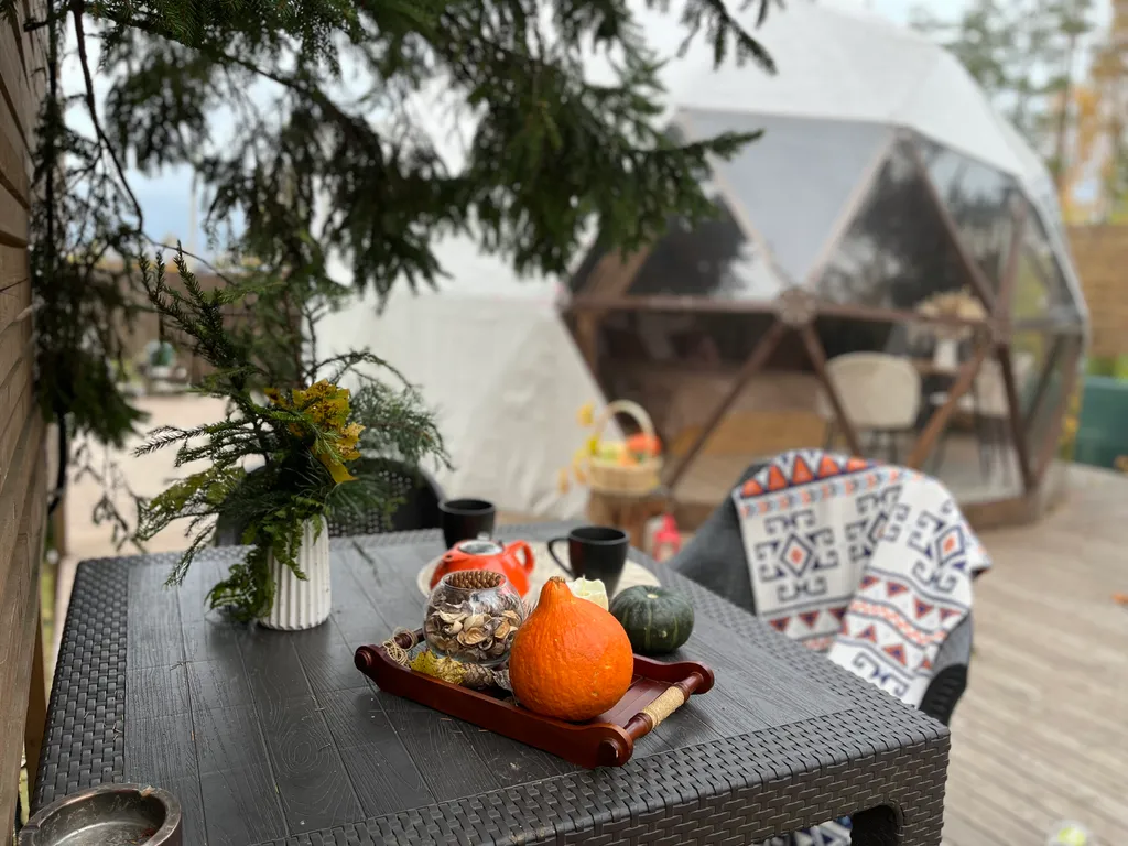 Коттедж Купольный дом Bearloga — Санкт-Петербург