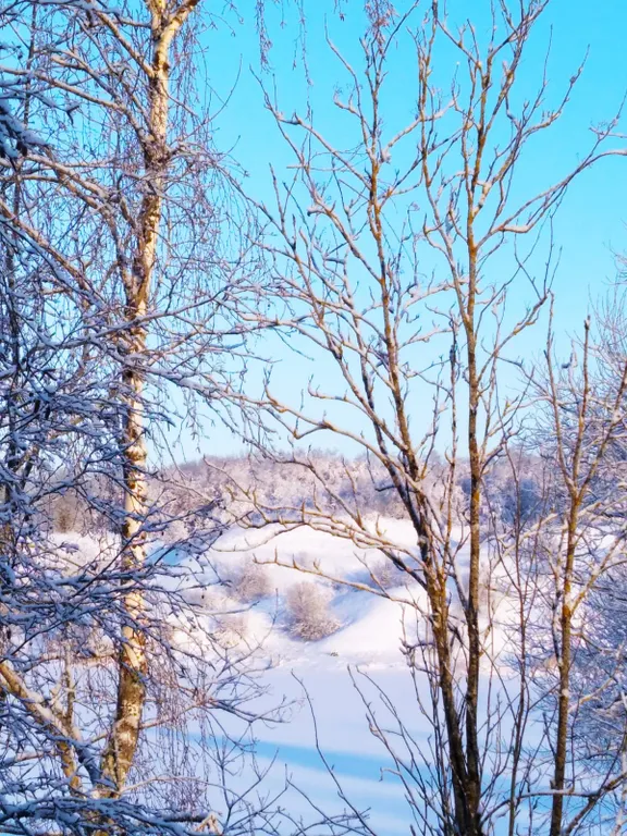 Уютный коттедж на реке