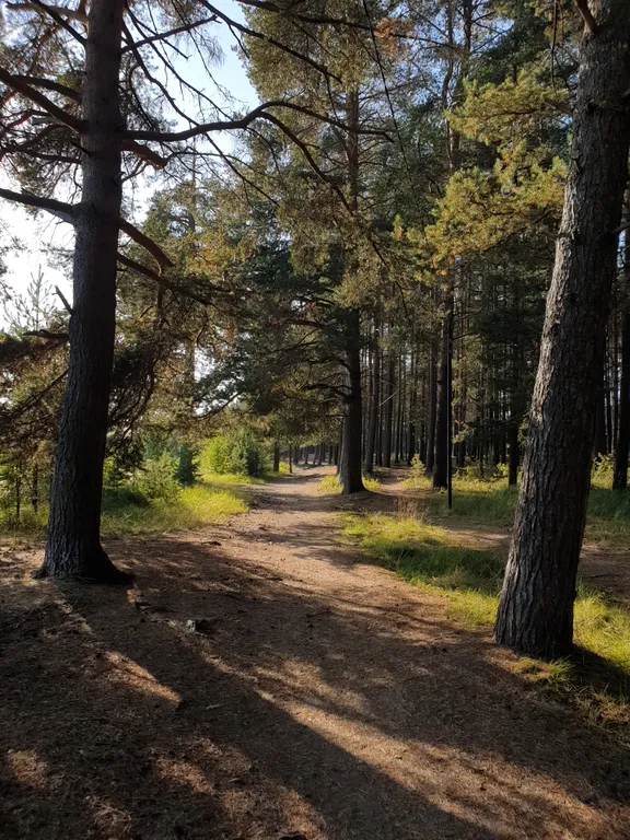Семейный номер комфорт 2 ком. Вид на озеро и парк, в гост. Доме ранта