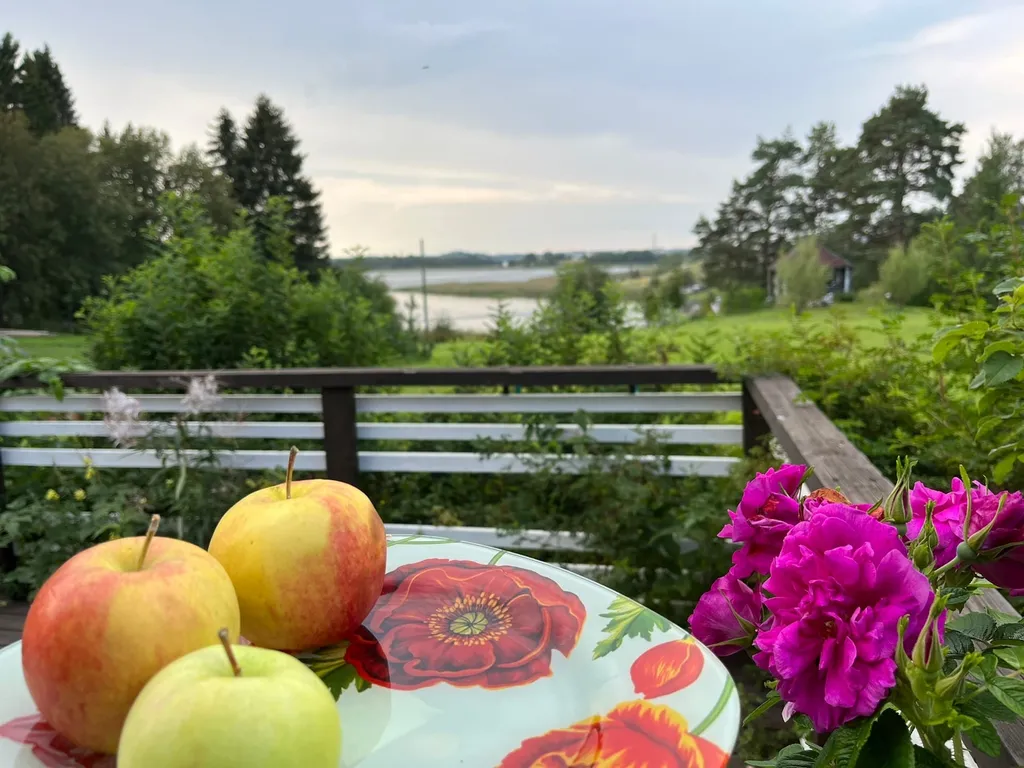 Дом на берегу Ладоги