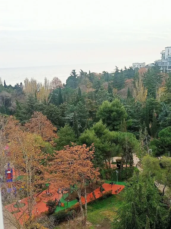 Студия у моря